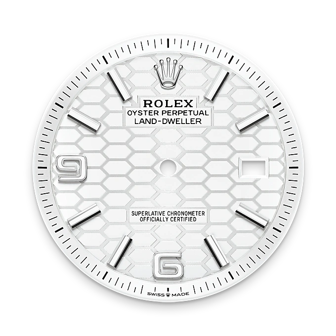 Rolex Land-Dweller in Rolesor weiß (Kombination aus Edelstahl Oystersteel und Weißgold), M127334-0001-10 – Uhren Schmiemann